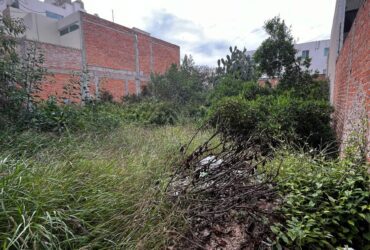 Sierra Gamón , Colonia Lomas 1ª Sección, San Luis Potosí